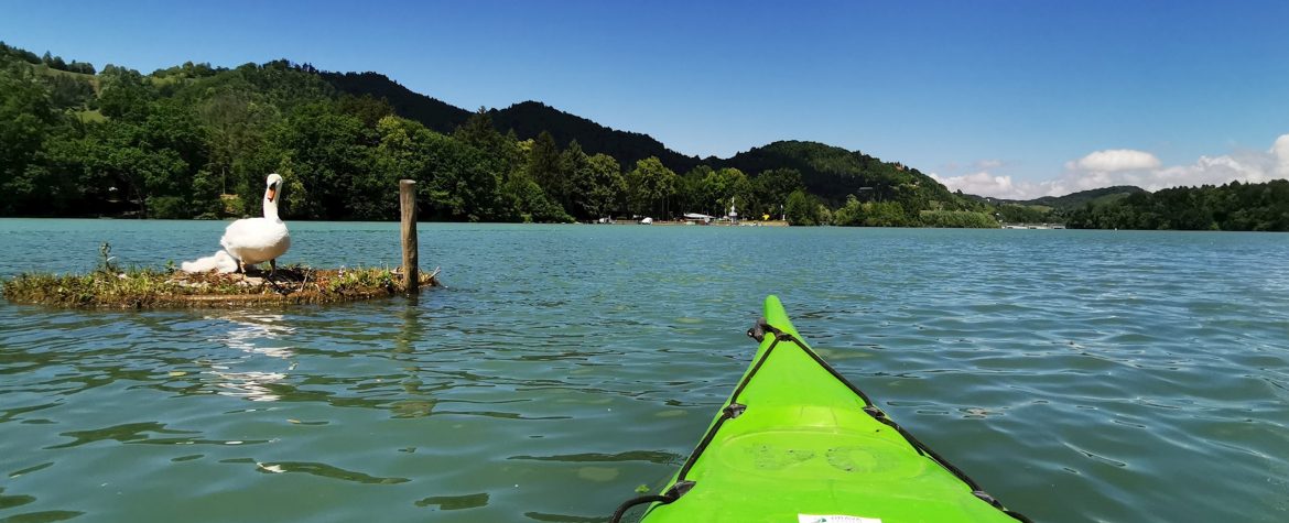 mariborsko jezero