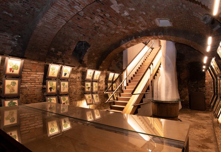 A világ legrégebbi szőlőjének múzeuma Muzej najstarejše trte na svetu Maribor